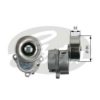 GATES T39069 Tensioner Pulley, v-ribbed belt